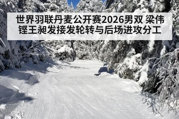 世界羽联丹麦公开赛2026男双 梁伟铿王昶发接发轮转与后场进攻分工
