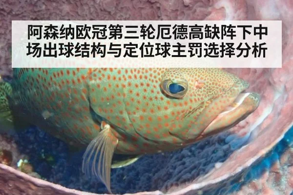 阿森纳欧冠第三轮厄德高缺阵下中场出球结构与定位球主罚选择分析